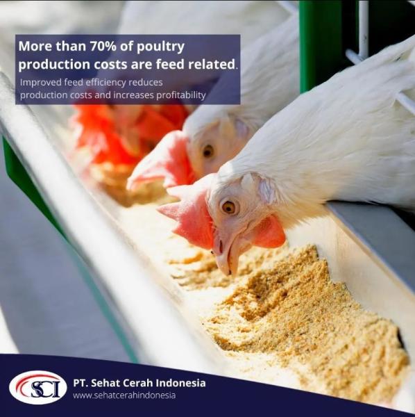 Feed Additive Sodium Humic Acid Powder For Poultry Nutritional