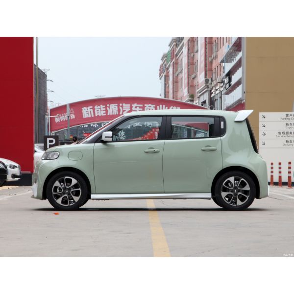 Pure Electric 48 Horsepower ORA White Cat 305km Range 4-Seater Hatchback Energy Vehicle 0km Used Mini Electric Car Adult