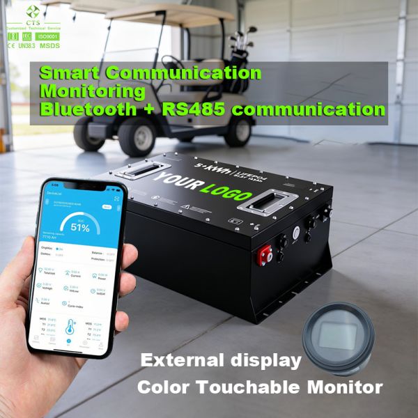 CTS Factory Price 48V 105Ah 230Ah Lithium Ion Battery Pack with Bluetooth for Golf Cart