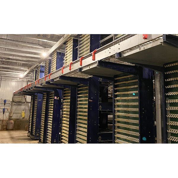 H Frame Male And Female Seperate Breeder Cage