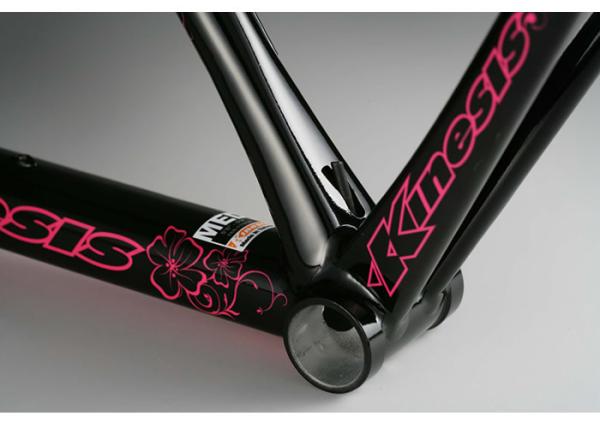Compact Structure Ladies Road Bike Frame 49cm With Inner Cable Routing