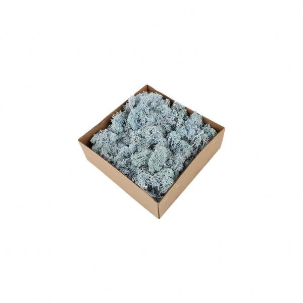 Customized Color Super Moss Reindeer Moss 58*39.5*20CM For Home Decoration