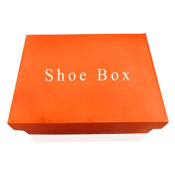 Цвет бренда логотипа Китая изготовленный на заказ оптовый напечатал складывая детей Kraft бумажных обувает рифленые грузя коробки