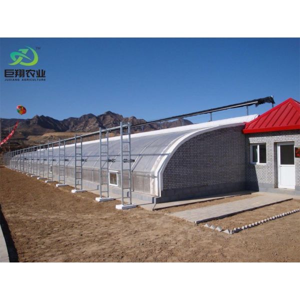 Аркированная крыша Аквакультура Растительная пленка Солнечный свет Теплица для цветка клубники США
