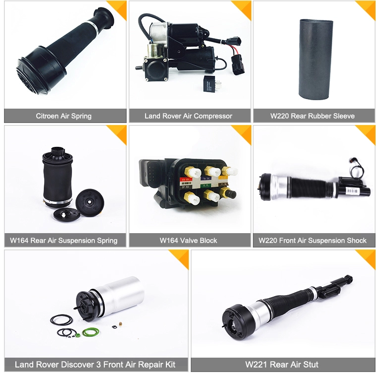 Задняя сумка весны комплекта для ремонта подвеса воздуха на фаэтон 2004-2006 3D0616001 VW