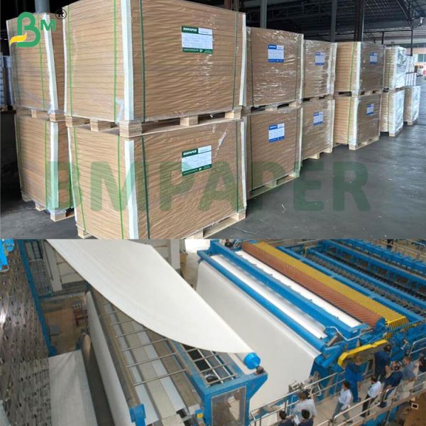 280g + 20g PE Single Side Coated Food Grade White Cup Stock Paper Ice Cream Cup Drinks Cup 280g + 20g PE revêtu d'un seul côté de qualité alimentaire Coupe blanche en papier de stock Coupe glace Coupe de boissons