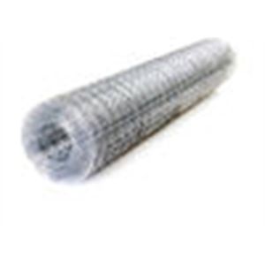 Electro Welded Galvanized Bird Cage Welded Iron Wire Mesh Multifunctional
