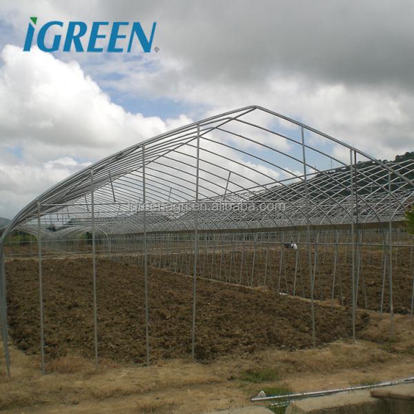 10m Tunnel Width Multi Span Greenhouse Steel Pipe Greenhouse For Hydroponic System