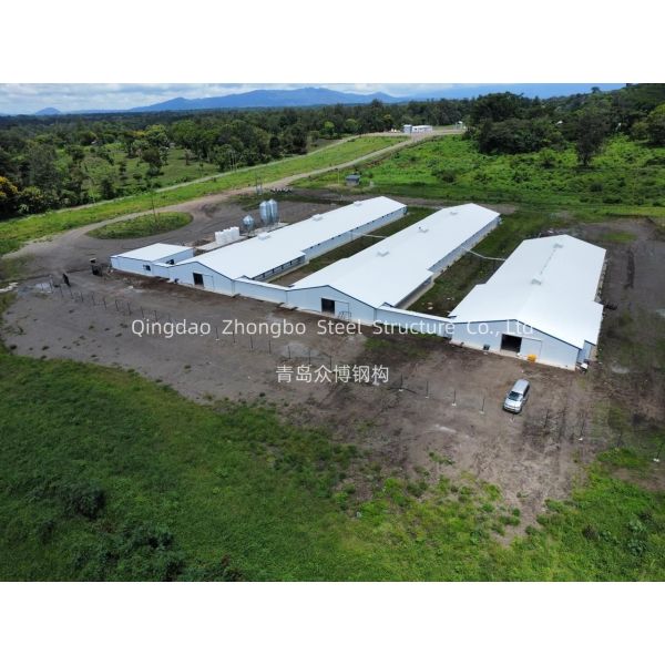 Customizable Prefabricated Steel Structure Poultry House with Robust Structural Design for Chicken Farming