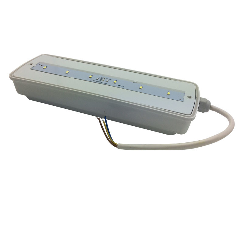 3 Hours Rechargeable Bulkhead Waterproof Emergency Light IP65 Plastic Ni-Cd L116N-E