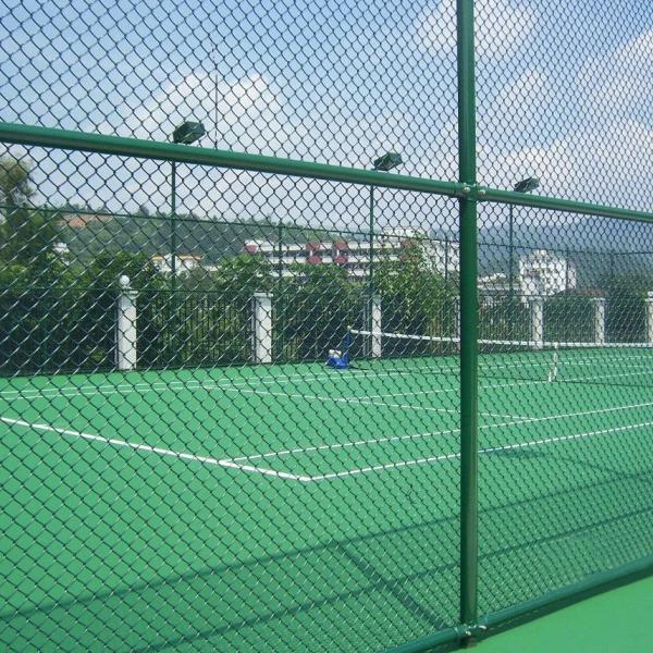 Elo de corrente Mesh Fencing Galvanized Power Coated da exploração agrícola e do campo 2mm