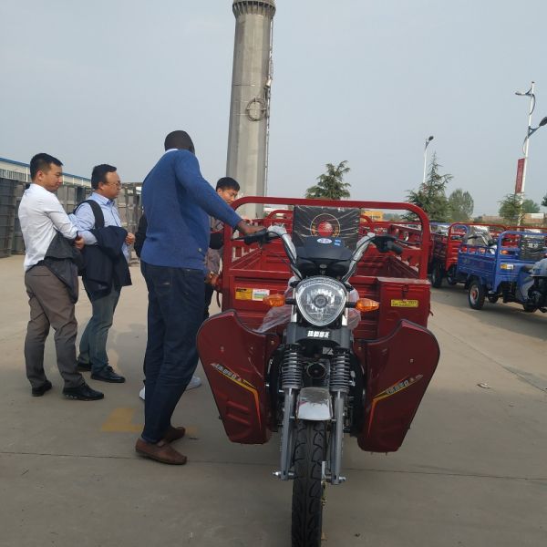 Electric 3 Wheels 80000m/H 200CC Cargo Tricycle