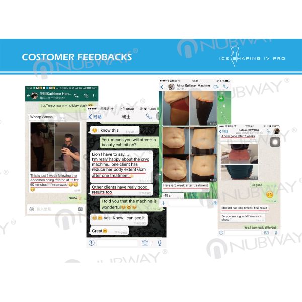 2017 newest design products supply OEM/ODM service Cryolipolysis Slimming (ICE SHAPING IV PRO)