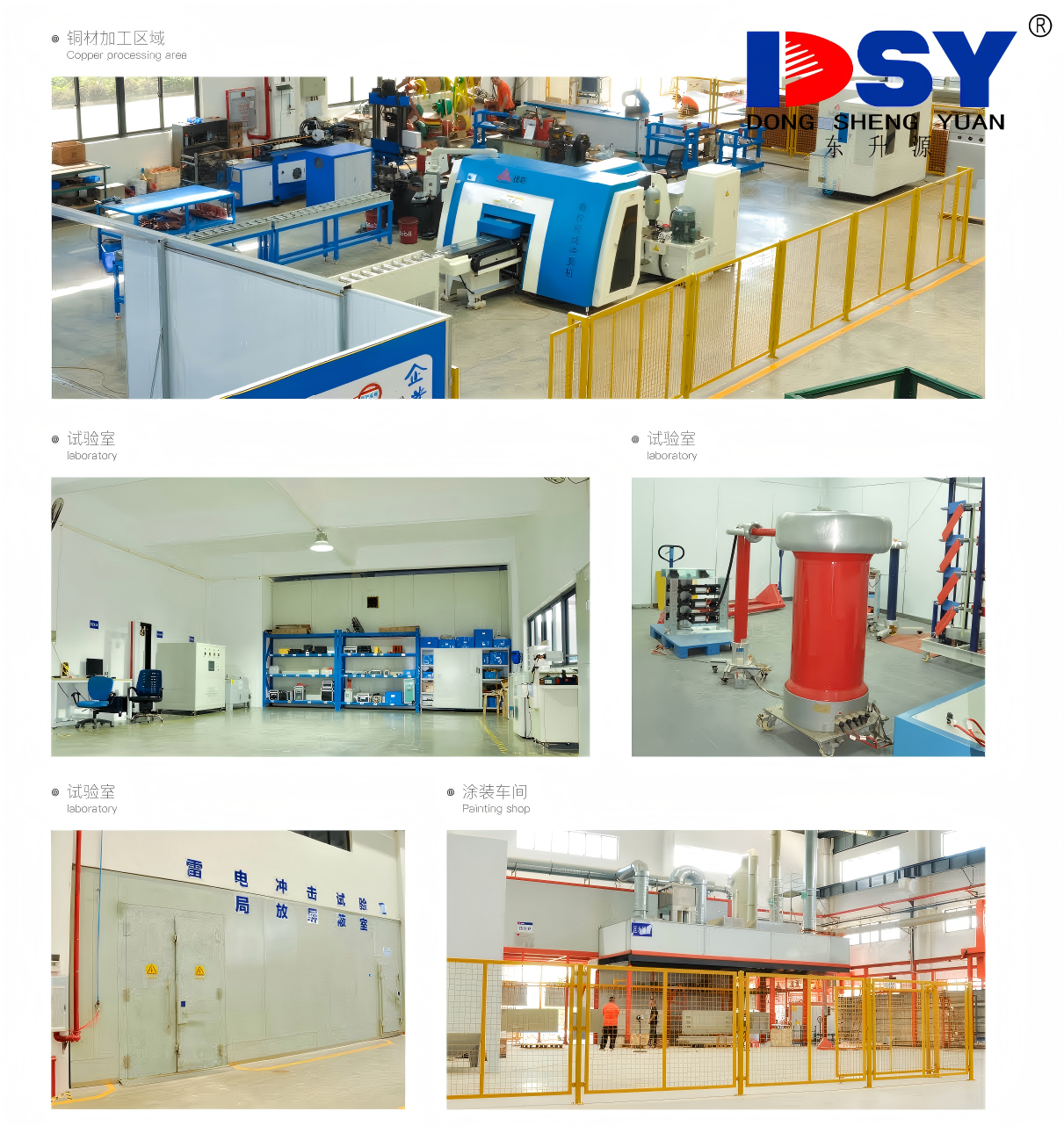 Shenzhen Dong Sheng Yuan Electrical Equipment Co., Ltd.