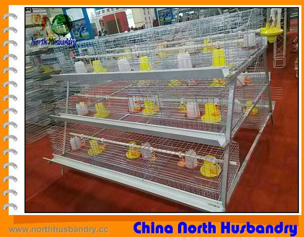 H type poultry cage, H type chicken layer house, CLIMA H type