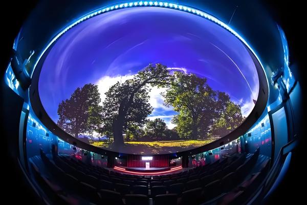 4D 9D Flying VR Dome Cinema for Theme Parks with Curved Screen