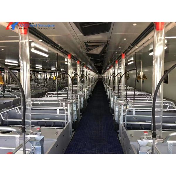 Prefabricated Steel Frame Housing Lightweight Steel Structure Piggery Housing