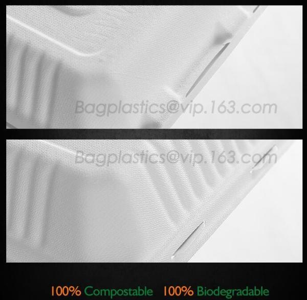 disposable takeout box for lunch, carry out container, meal prep food container Pla lunch box