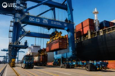 Economical Reliable Sea Cargo Shipping Sea Freight Carriers with CMA Carrier |