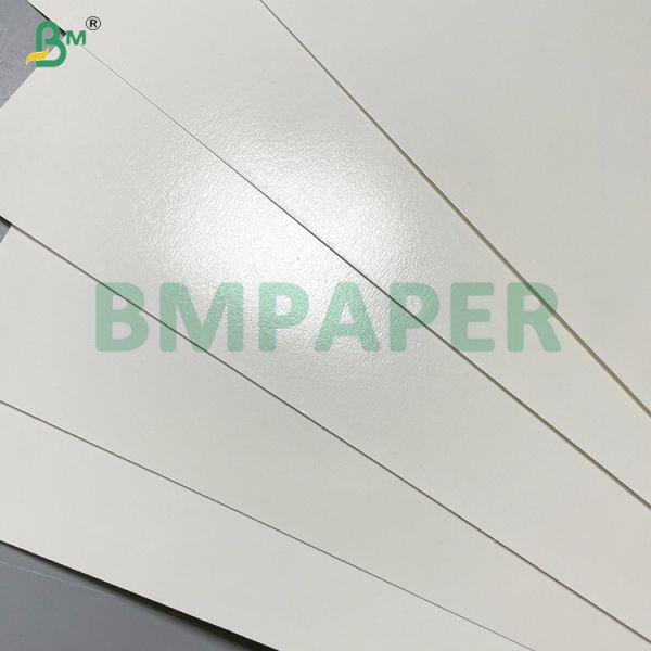 Food Grade White Kraft Cup Stock Paper For Ice - cream Cup
