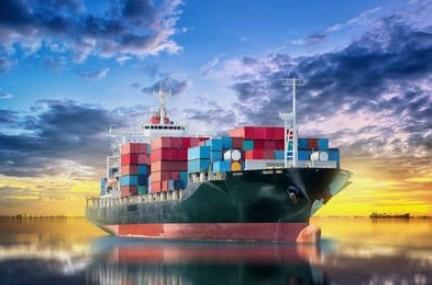 Safely China Sea Freight Services Port To Port LCL Freight Forwarder