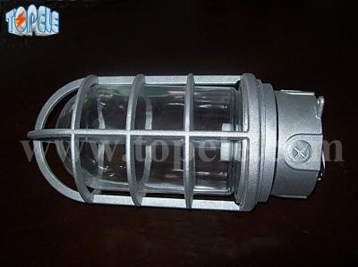 100W 220V Cinza Cinza IP65 Luzes à prova de vapor Die - Alumínio fundido