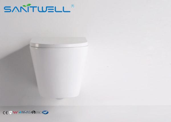 Euro wall mounted ceramic eastern style toilet washroom Two Piece Structure