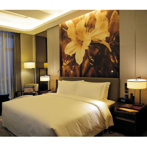 Высокопроизводительные роскошные подвесные светильники для пятизвездочных отелей