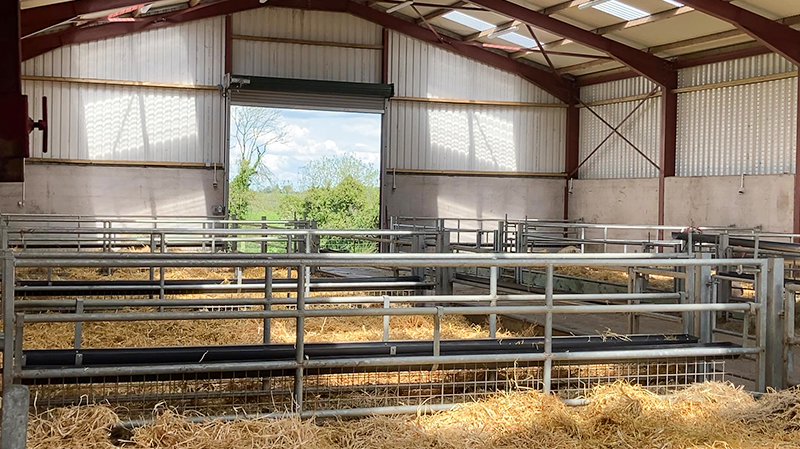 Алюминиевое стекло из сплава металлического металла Конструкция помещения для фермы козов Стальная конструкция Дом для овец Приют PKPM Рисунок