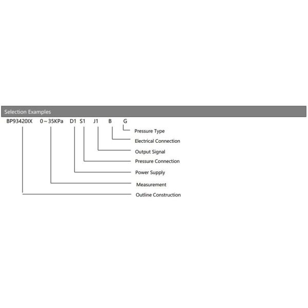 BP93420IX Pressure Transmitter Sensor For Reduced Maintenance And Replacement Costs