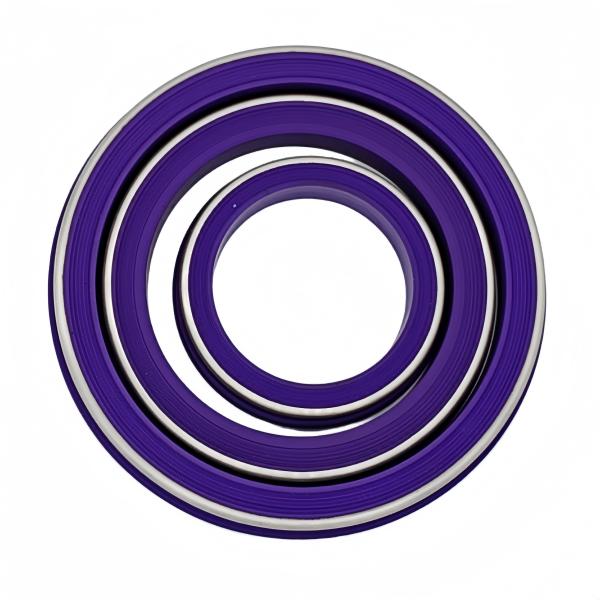 Purple Oil&Heat&Chemical resistant NBR HNBR FKM PTFE Hammer Union Seal With Stainless Back Up