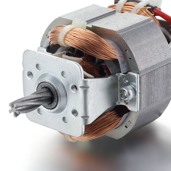 Speed 54mm Motor Diameter Totally Enclosed Universal AC Motor for Treadmill 110v 220v