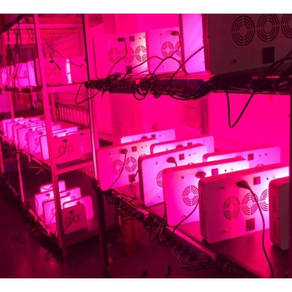 1200w Led Hydroponic Plant Grow Light Indoor Gardening Plant Growing 1.2A