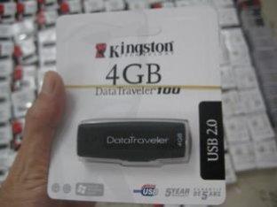 O flash marcado de USB conduz DT100