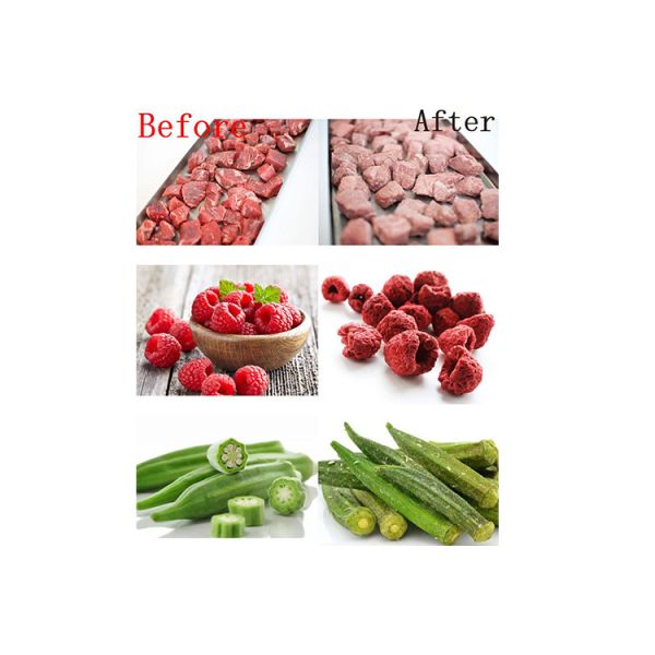 Фармацевтическое оборудование для вакуумной морозильной сушки Электрическое отопление Воздушное охлаждение