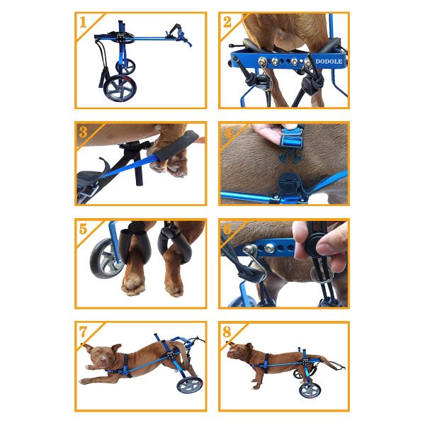 Blue Hind Leg Pet Dog Wheelchair With Mute PU Wheels Lightweight