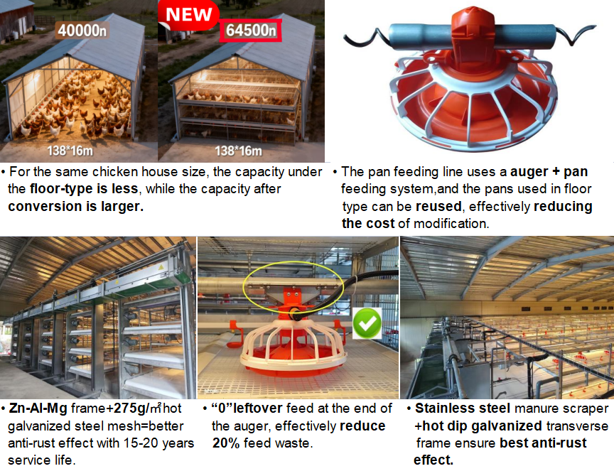 Floor-To-Cage Conversion Broiler Chicken Cage