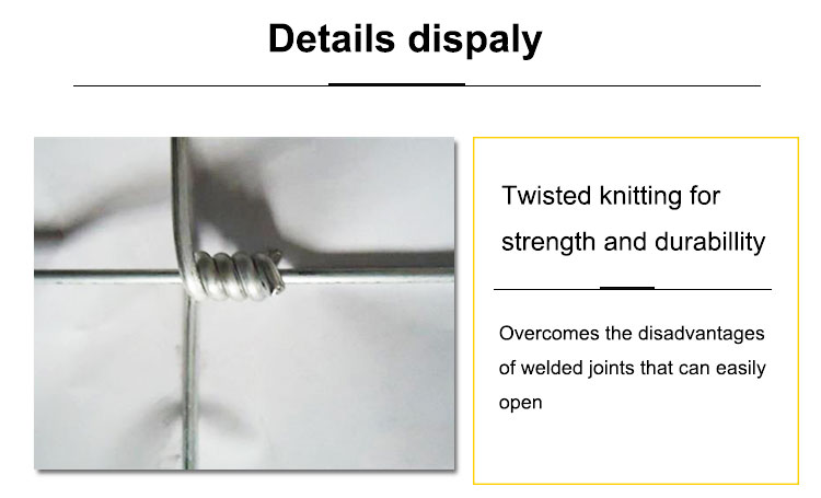 Easily Assembled Eco Friendly High Tensile Strength Farm Wire Mesh Fence and Hinge Joint Fence