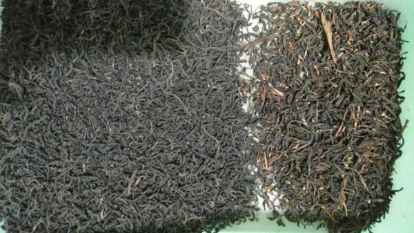 Black Green Mini Tea Colour Sorter Machine 192 Channels
