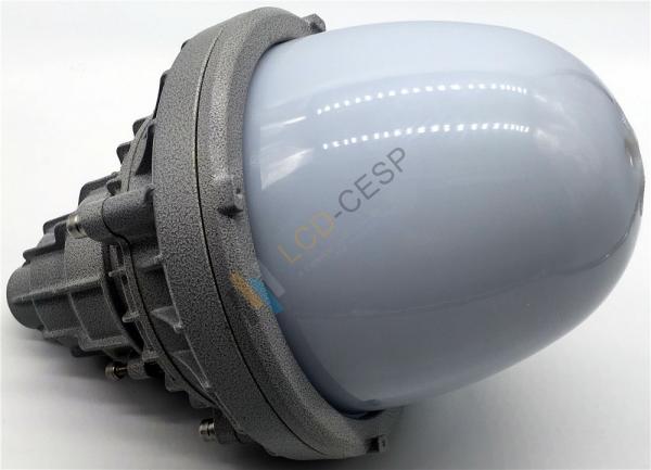 CREE Chip 220V 60Hz 30W Explosion Proof Led Flood Light