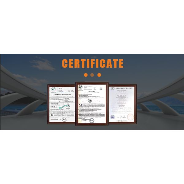 6 años de vida de triciclo eléctrico para adultos E Rickshaw y motor con tambor/disco/freno de aceite