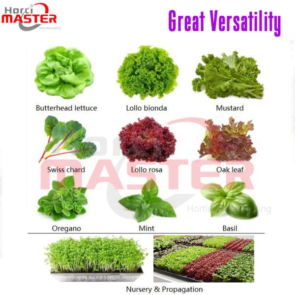 18 Watt LED Bar Grow Lights 60Hz IP65 AC 305V PPFD Vegetative Blooming