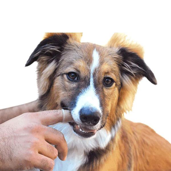 Herramientas de limpieza para mascotas de fibra biodegradable limpieza profunda desodorizante cepillado para dedos de silicona