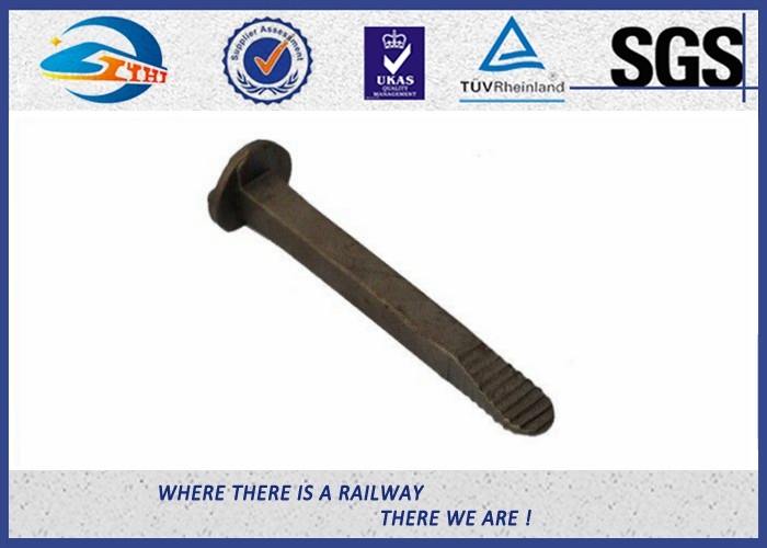 Стандартный простый винт корпуса спайка следа железной дороги берет ранг на острие стали углерода 4,6