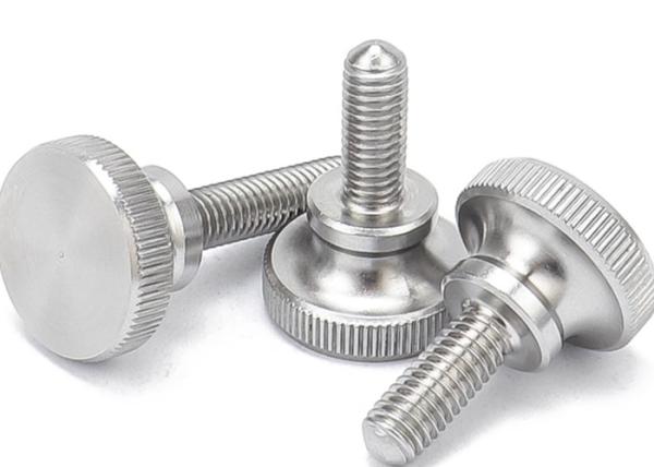 M8 M10 M16 Stainless steel Thumb Screw SUS304 SUS316 Spade head Thumb screw Customised