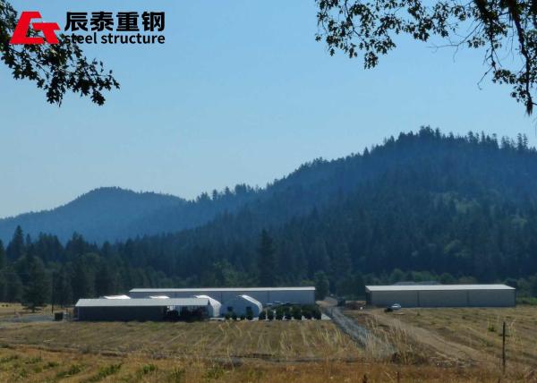 Weather Resistant Prefab Agricultural Buildings Rectangular Steel Structure Greenhouse