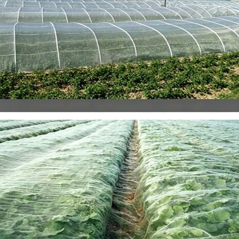 High Density Mesh Insect Net Greenhouse Farm Vegetable Insect Screen