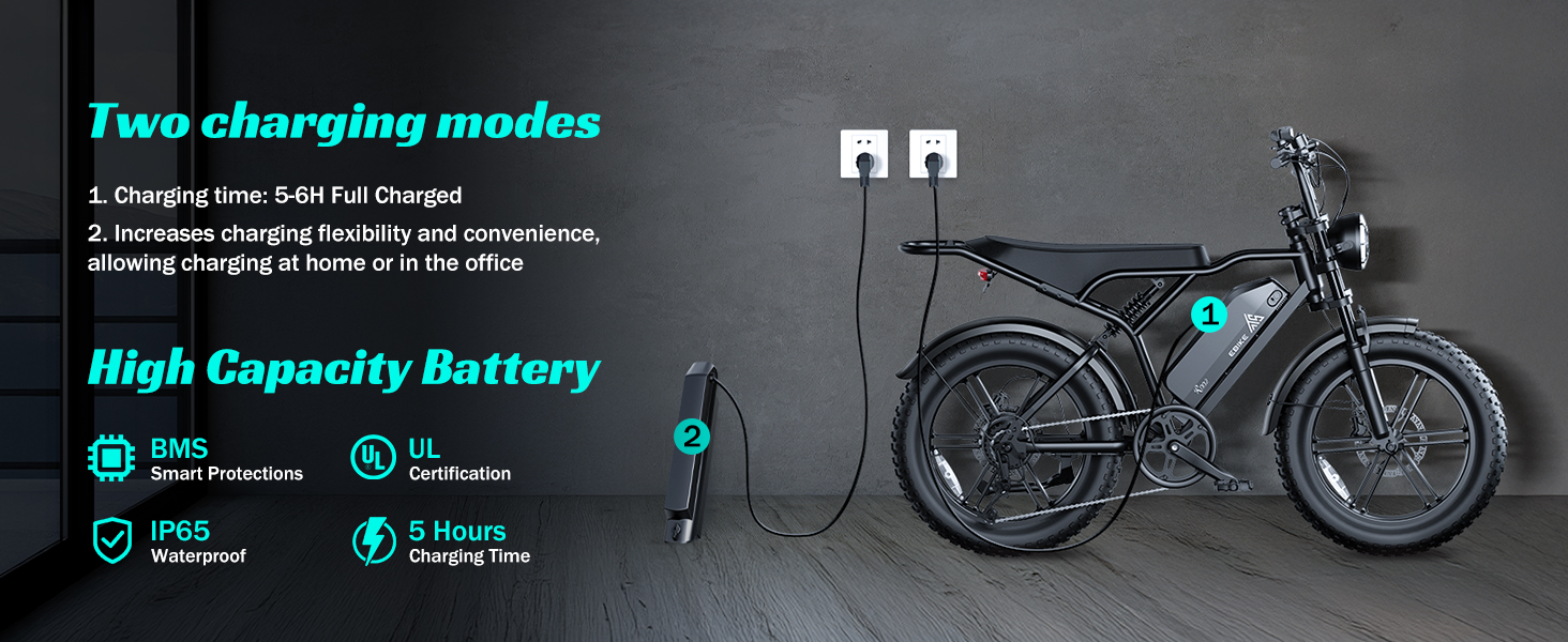 20''*4.0 1500W Sport Electric Bike Rear Hub Motor 48V Moped-style Fat Tire Bike 7-Speed Dual Suspension 15AH Lithium Battery