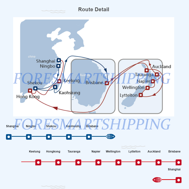 Door To Door Oceania Shipping , Sea Freight China To NZ