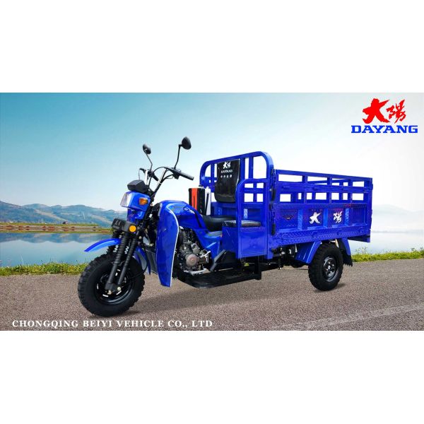 DAYANG DY-Q2 175cc Africa Heavy Load Motor Tricycle 3150 mm Length 4.5 Load Capacity